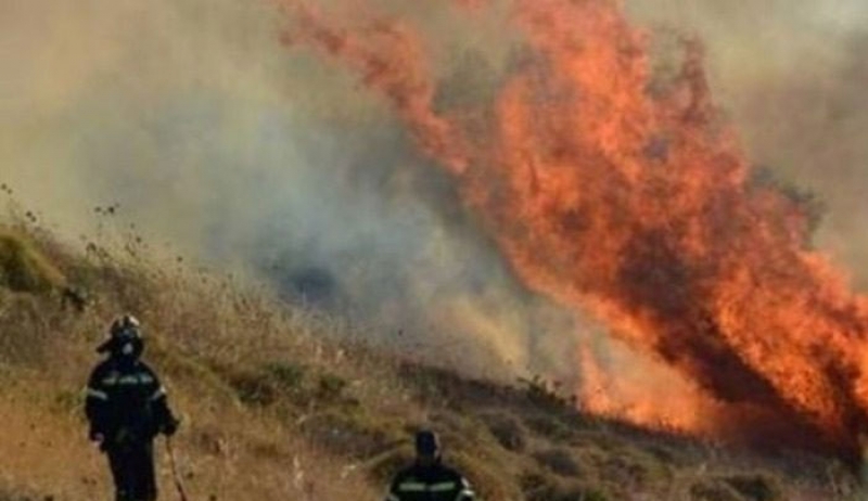 Φωτιά στην Αμαλιάδα: Εκκενώνεται το χωριό Δαφνιώτισσα