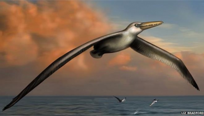 Ανακαλύφθηκε το μεγαλύτερο πουλί που έχει πετάξει ποτέ στη Γη