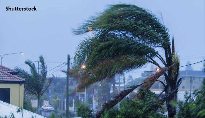 «Μην παρκάρετε αυτοκίνητα κάτω από δέντρα, έρχονται πολύ ισχυροί άνεμοι» -Προειδοποιεί ο Σάκης Αρναούτογλου