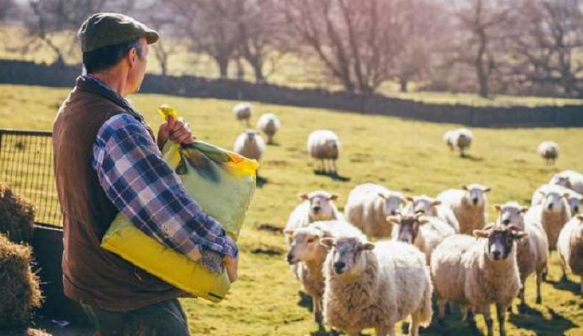 Ανοίγει σήμερα 19 Δεκεμβρίου, η πλατφόρμα των δηλώσεων για την πληρωμή έκτακτης ενίσχυσης 89 εκατ. ευρώ σε κτηνοτρόφους