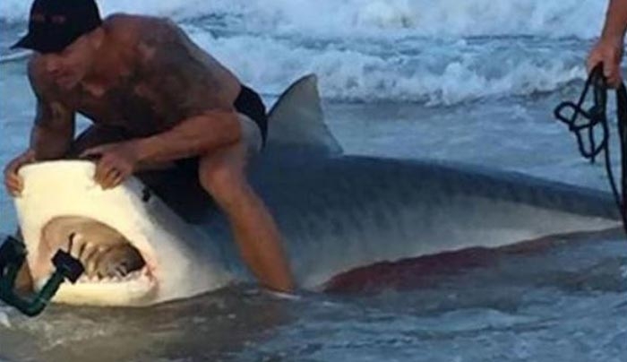 Ο ατρόμητος άνδρας που έπιασε καρχαρία με τα χέρια του – ΒΙΝΤΕΟ
