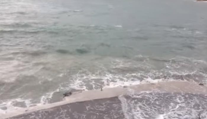 Τα κύματα «κατάπιαν» παραλία στην Κάλυμνο [Βίντεο]