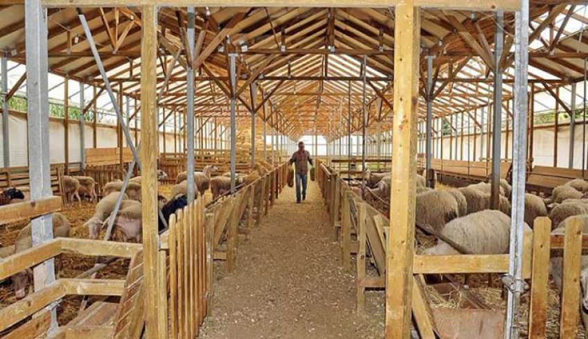 ΔΕΕΠ Δωδ/σου Ν.Δ.: Παρατείνεται η προθεσμία έγκρισης ίδρυσης και λειτουργίας κτηνοτροφικών εγκαταστάσεων