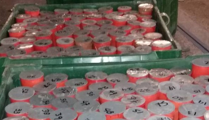 Εικόνες από τις δύο σημαντικές επιτυχίες κατά της διακίνησης ναρκωτικών