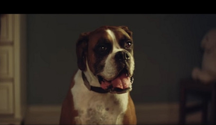 #BusterTheBoxer: Viral η χριστουγεννιάτικη διαφήμιση των &quot;John Lewis&quot;! [βίντεο]