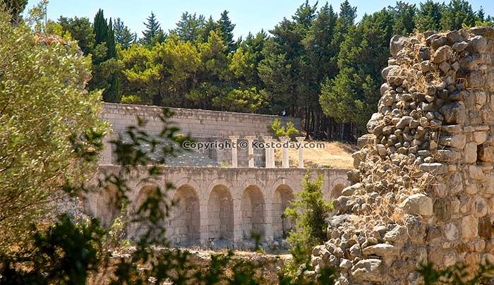 Διαμαρτυρία γονέα φοιτητή Ιατρικής για την αποκλειστική συμμετοχή πρωτευόντων φοιτητών στην Ορκωμοσία του Ιπποκράτη