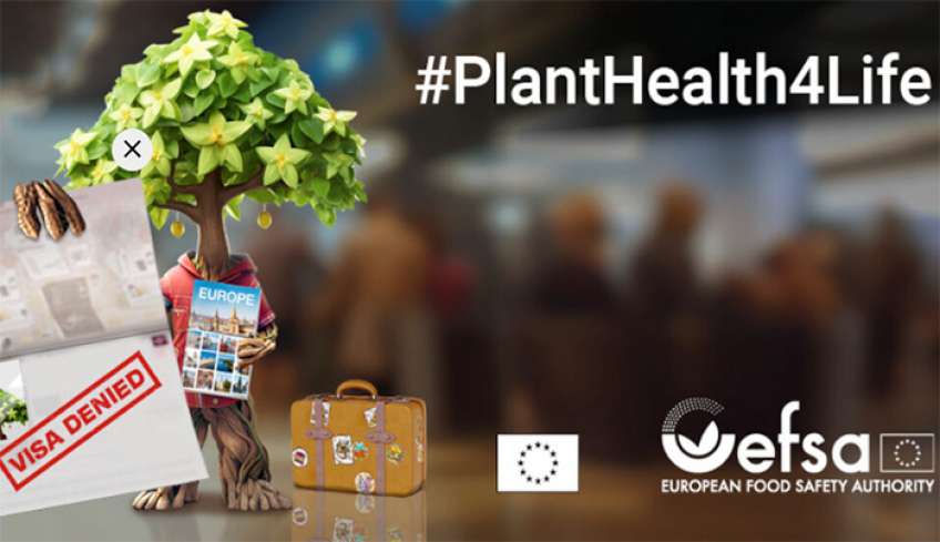 ΥπΑΑΤ: Η εκστρατεία #PlantHealth4Life επιστρέφει