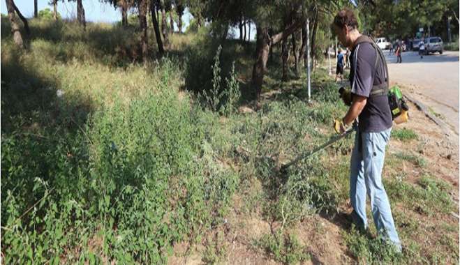 Βαριά "καμπάνα" για όσους δεν καθαρίζουν τα οικόπεδά τους - Πρόστιμα και για απλήρωτους λογαριασμούς ηλεκτρικού