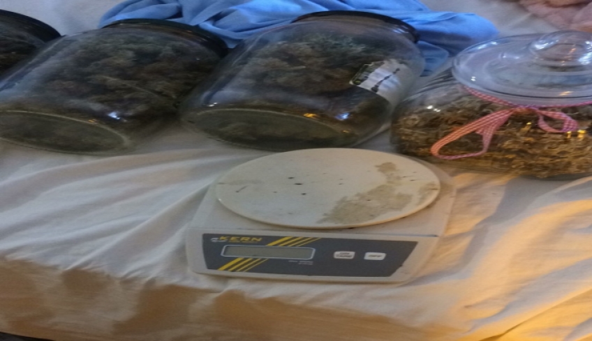 Συνελήφθη 29χρονος στην Κω για καλλιέργεια δενδρυλλίων κάνναβης σε αποθήκη