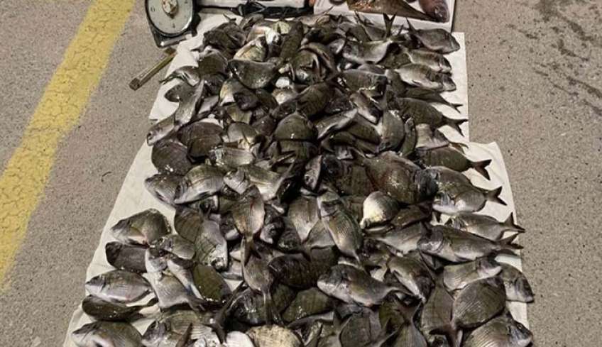 Aλιευτικός έλεγχος στη Ρόδο – Κατασχέθηκαν 122,5 κιλά ψάρια