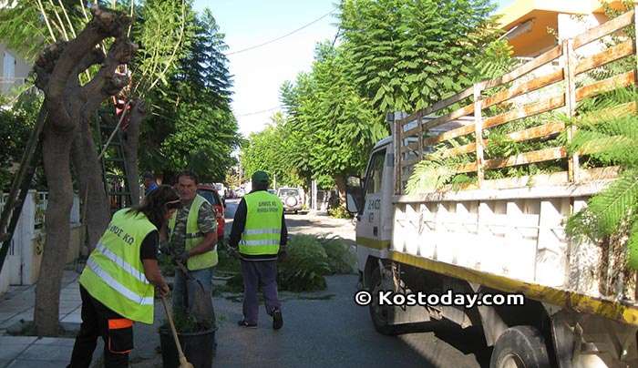 Κλειστή επί δίωρο η Β. Παύλου τη Δευτέρα για κλάδευση δένδρων