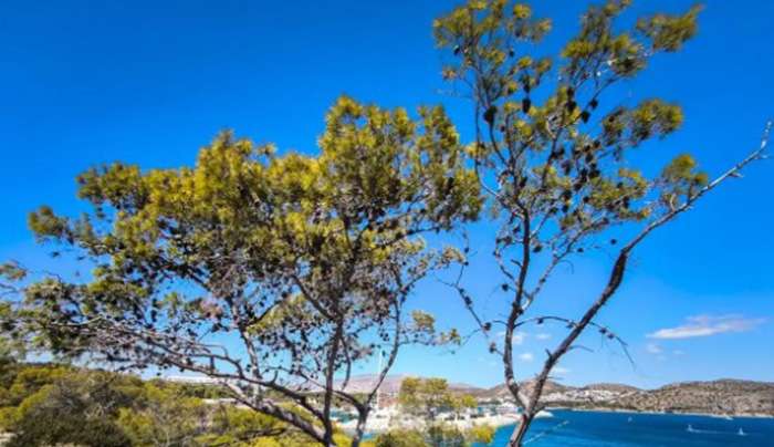 Καιρός σήμερα: Τοπικές βροχές και ισχυρά μποφόρ στο Αιγαίο