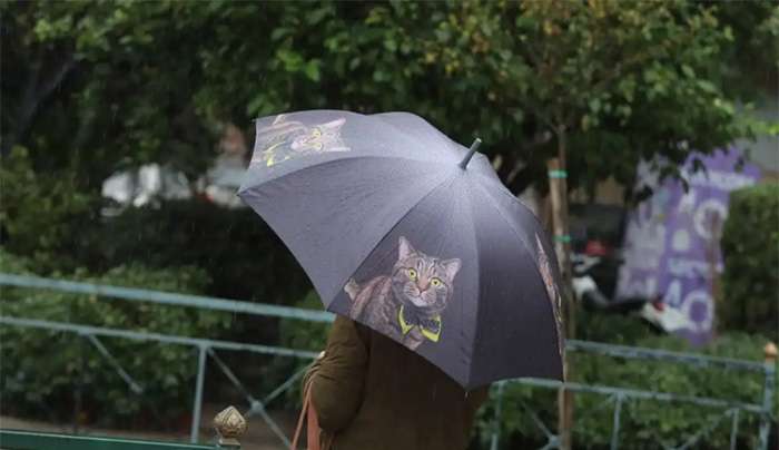 Καιρός σήμερα: Ισχυροί άνεμοι 8 μποφόρ στο Αιγαίο – Βροχές, καταιγίδες και χιόνια σε διάφορες περιοχές