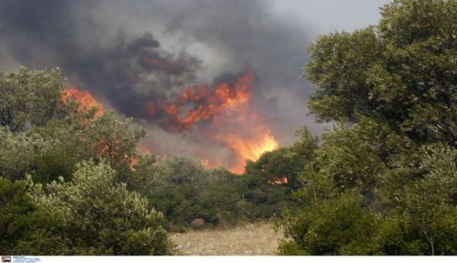 Ανεξέλεγκτη η φωτιά στην Πάρνηθα μετά την μεγάλη αναζωπύρωση -Δύσκολη η κατάσταση και στη Βοιωτία