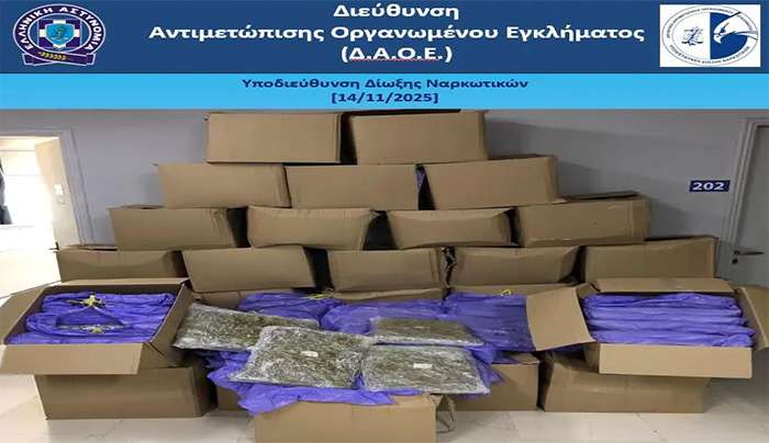 Εντοπίστηκαν περισσότερα από -353- κιλά κάνναβης σε επικαθήμενο στον Λιμένα Ηγουμενίτσας – Συνελήφθη 58χρονος αλλοδαπός