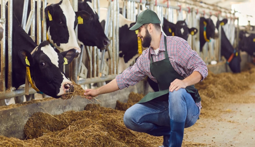 Ερχεται νομοσχέδιο για σταβλικές εγκαταστάσεις -Στόχος η ενίσχυση της κτηνοτροφίας