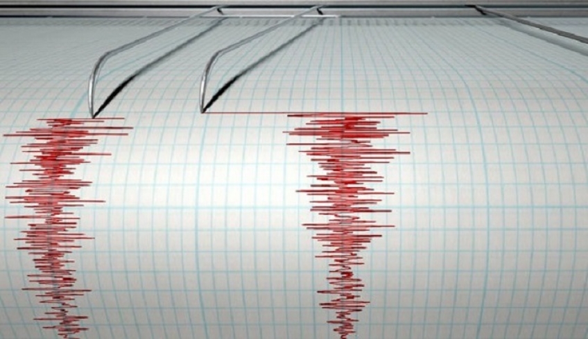 Ανησυχία για σεισμό 4,1 βαθμών Ρίχτερ στην Αταλάντη -«Ευαίσθητη περιοχή»