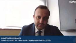 Κ. Κόλλιας: Πρόταση για ρήτρα 20ετούς σταθερού φορολογικού καθεστώτος για την επαγγελματική ασφάλιση
