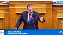 Γιάννης Παππάς στη Βουλή : Παρέμβαση για τον αιγιαλό και τις καθυστερήσεις στις αρχαιολογικές γνωμοδοτήσεις.